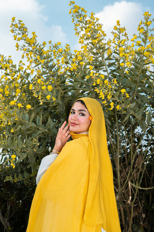 MODAL (Mustard )