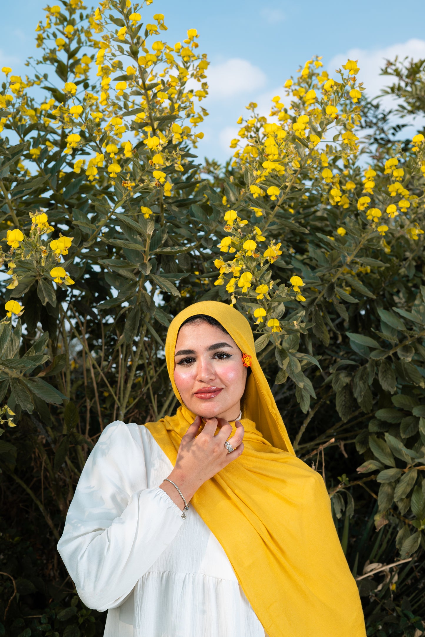 MODAL (Mustard )